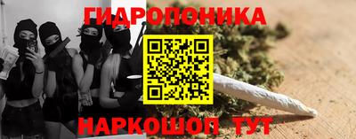 прущие крисы Камышлов