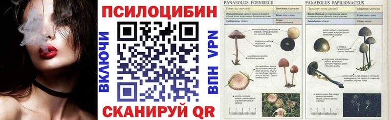 Галлюциногенные грибы прущие грибы  Каспийск 