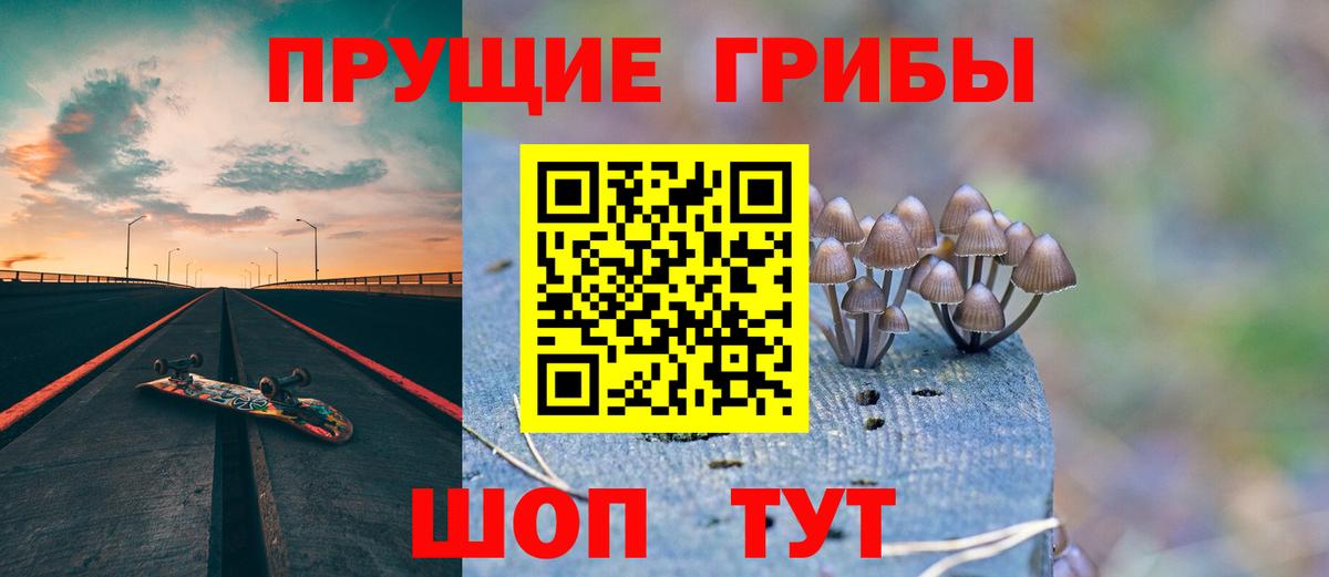 Каспийск  Галлюциногенные грибы Psilocybe  Вход с VPN  Псилоцибиновые грибы мухоморы 